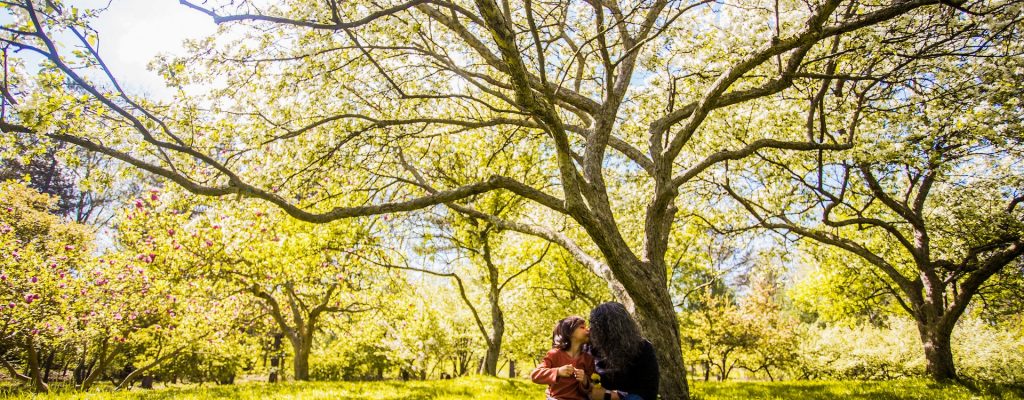 Family-Separation-Resources for Sheffield -Photo by Caleb Oquendo